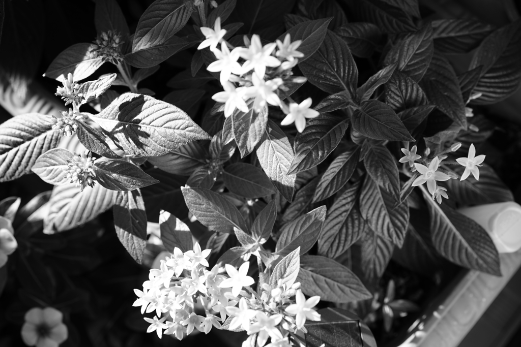 SILENT  ～　１