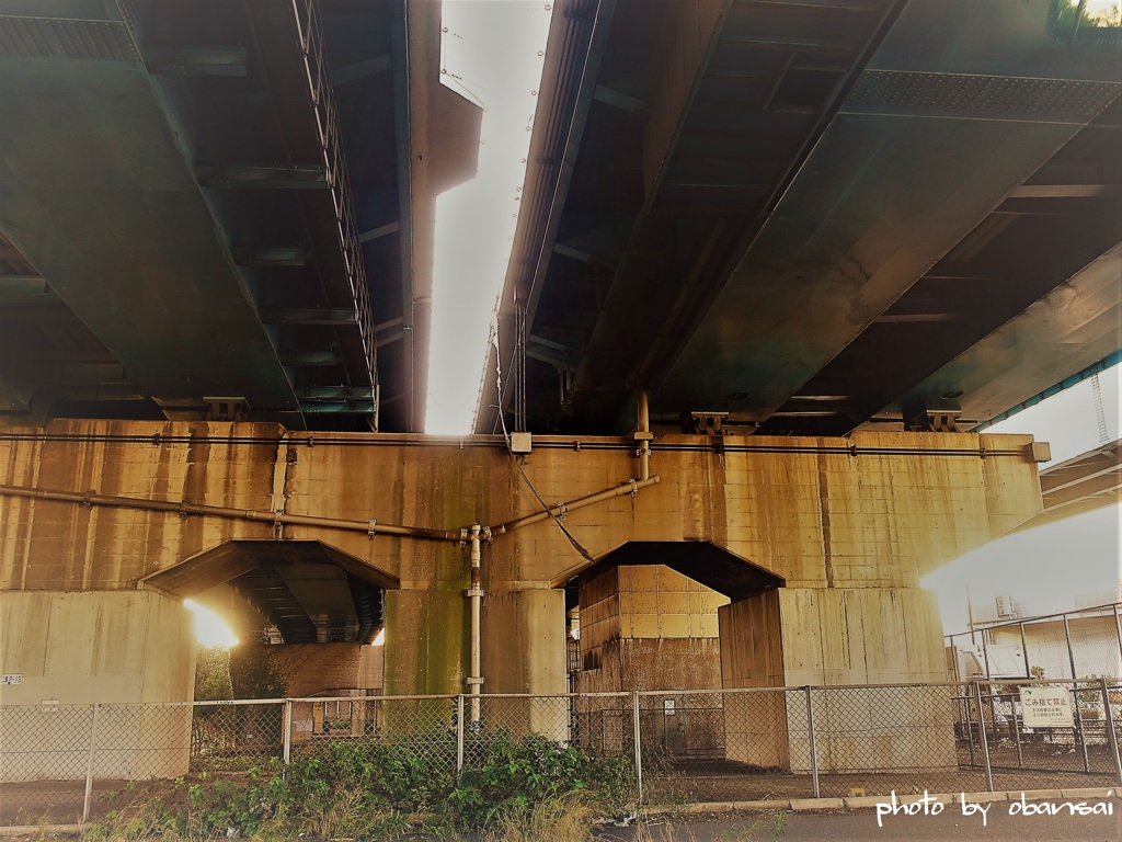 under the world