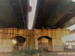 under the world