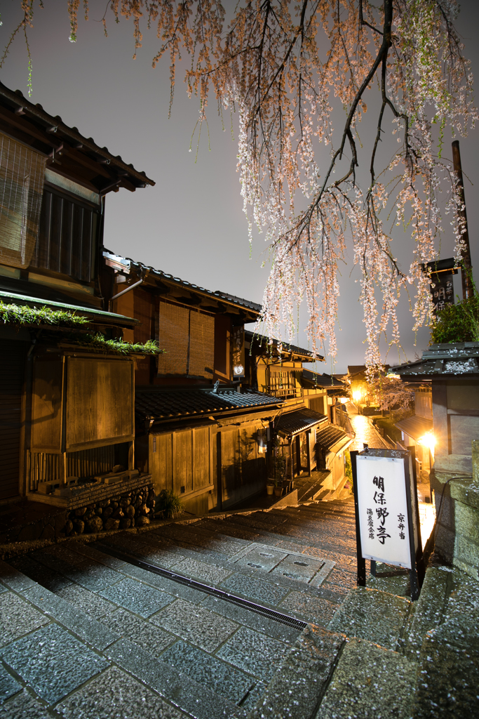 三年坂しだれ桜