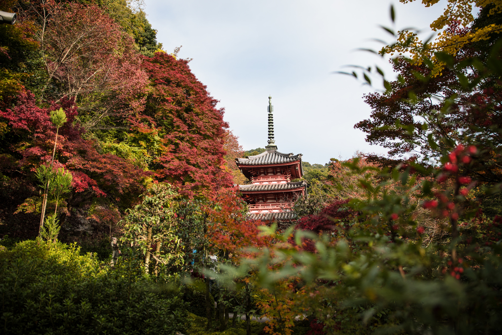 三室戸寺