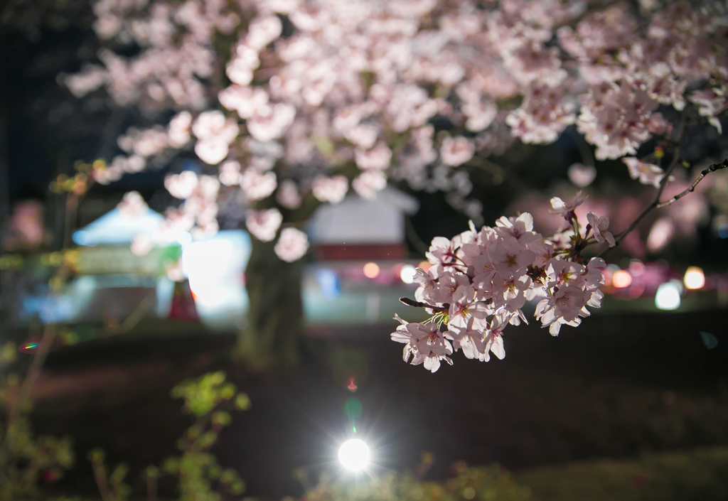 祇園白川