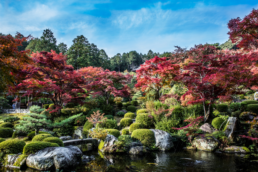 三室戸寺