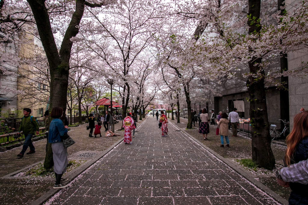 祇園白川