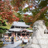 三室戸寺