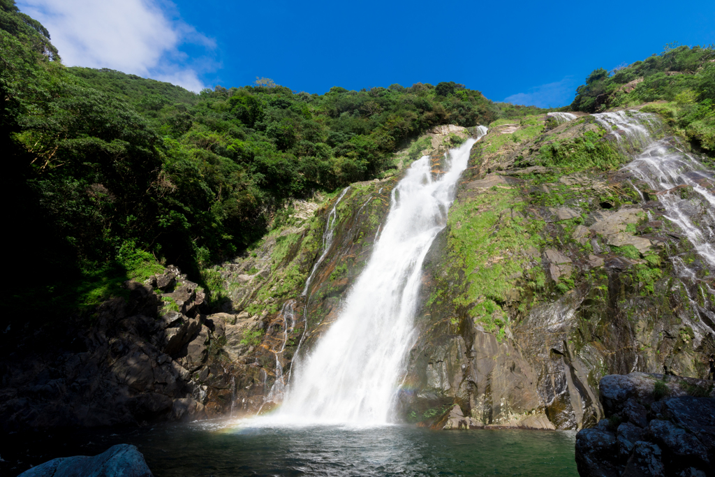 屋久島だ！