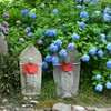 お地蔵様と紫陽花