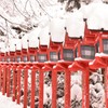 今日の貴船神社