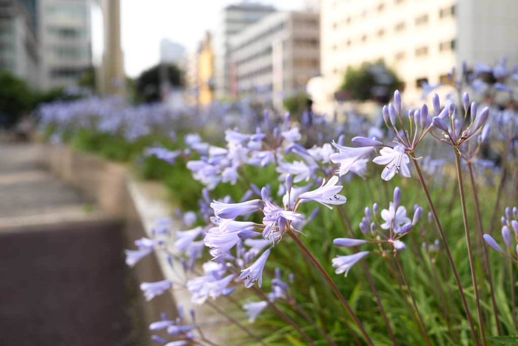 築地川銀座公園