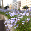 築地川銀座公園