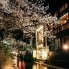 京の夜桜