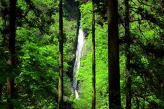 洒水の滝にて