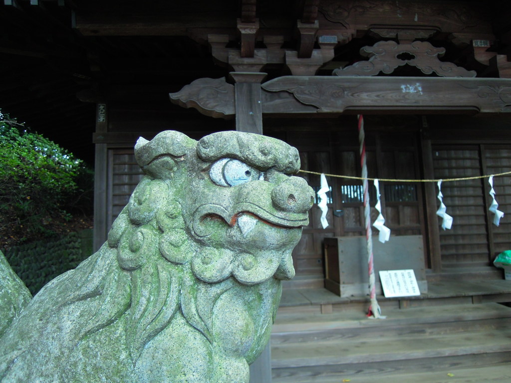 監視するワン