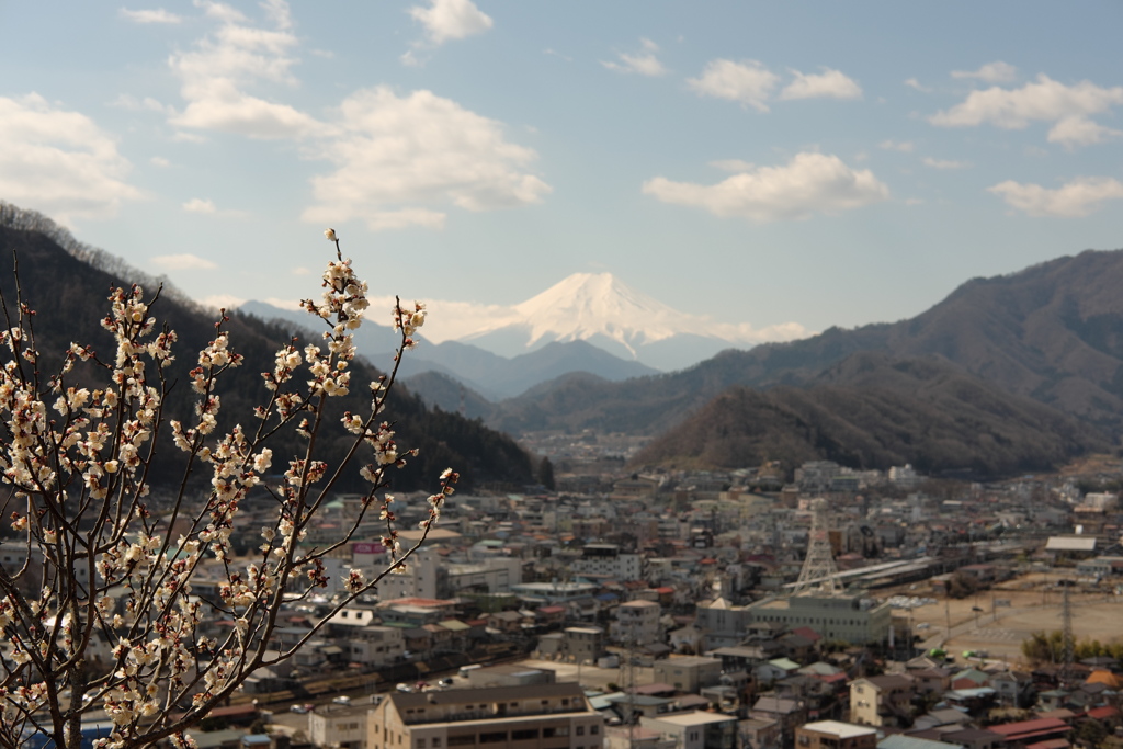 富士と梅