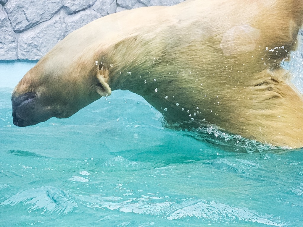 気持ちよさそうに