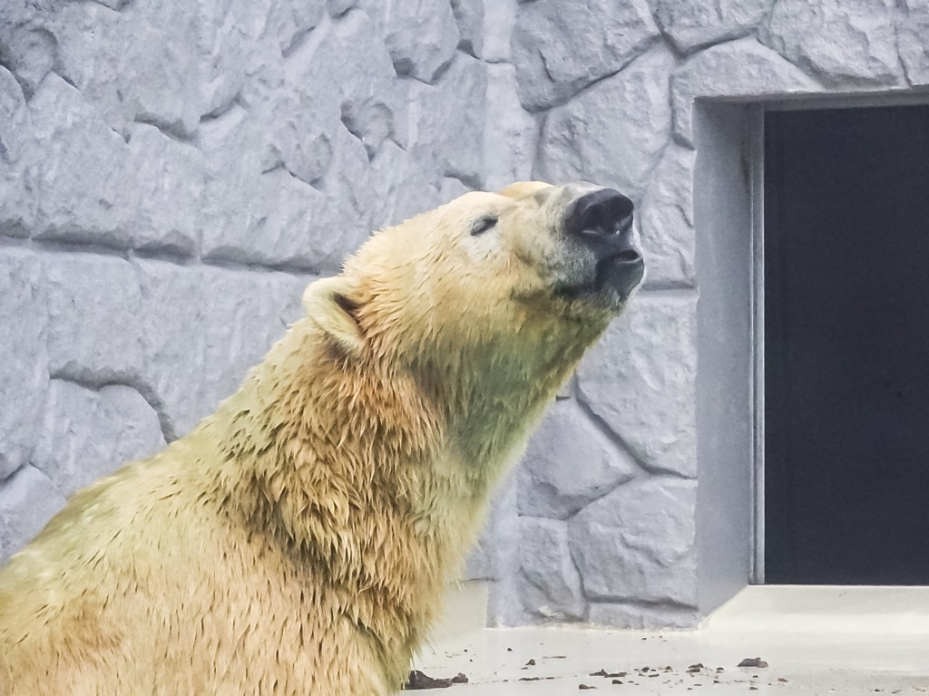 超気持ちいいっ