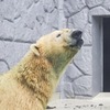 超気持ちいいっ