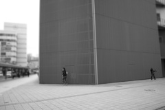 どこへ行く
