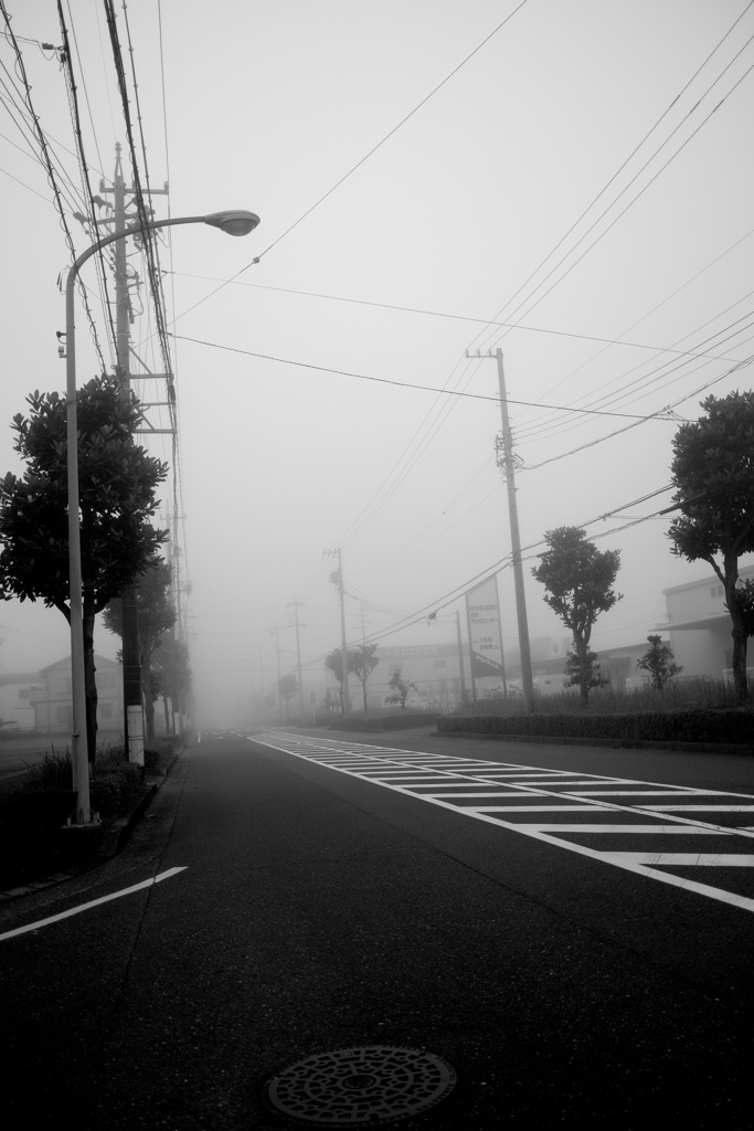 朝霧