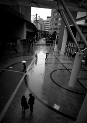 雨の中の出会い