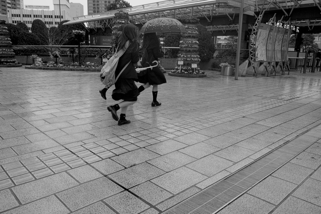 雨の中を