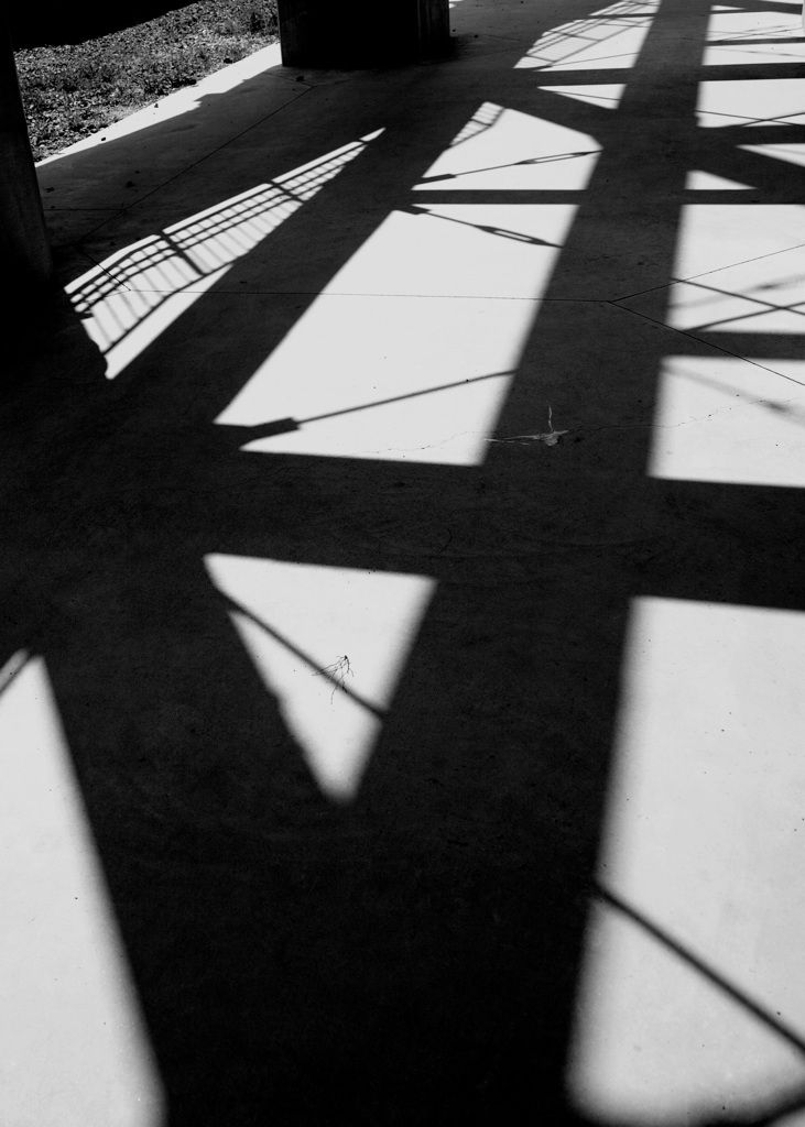 四月の強い日差し