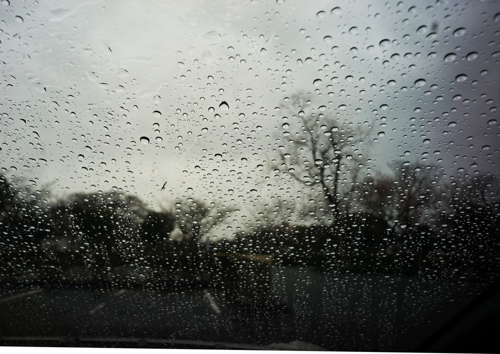 雨の予感