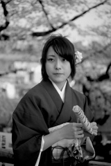 満開の桜