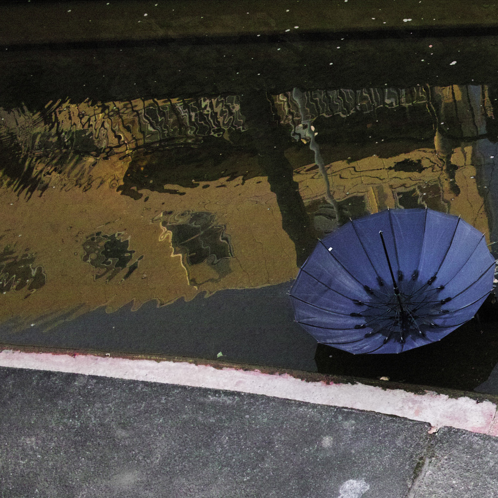 雨の後