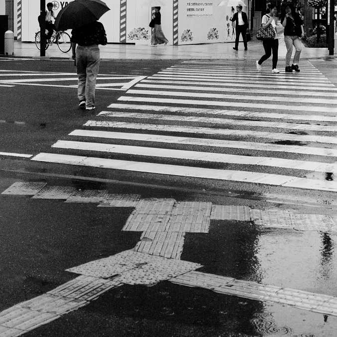 雨の季節－２