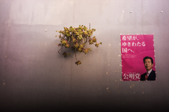 選挙のポスター