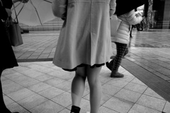 雨の降る日