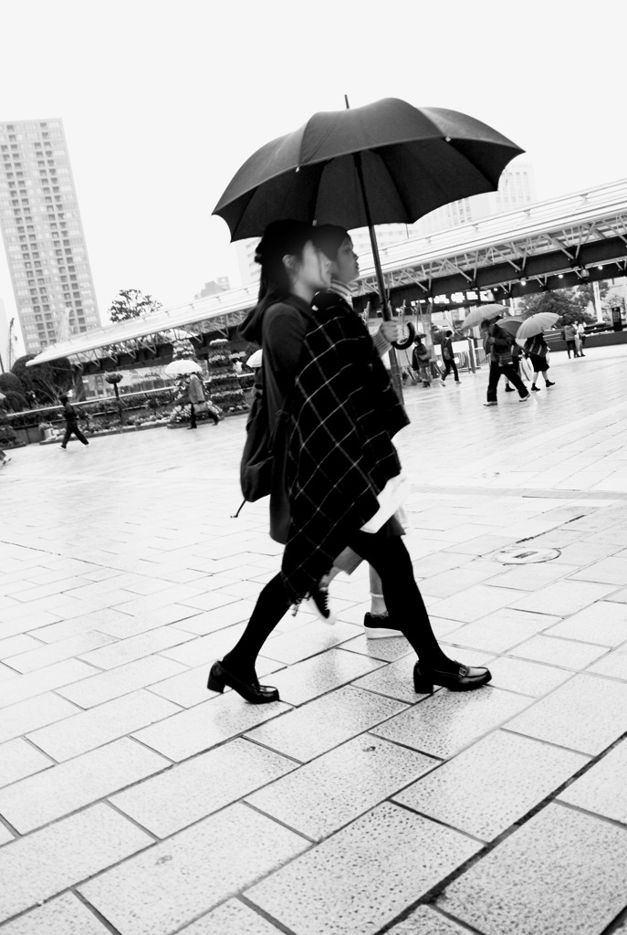 春の雨
