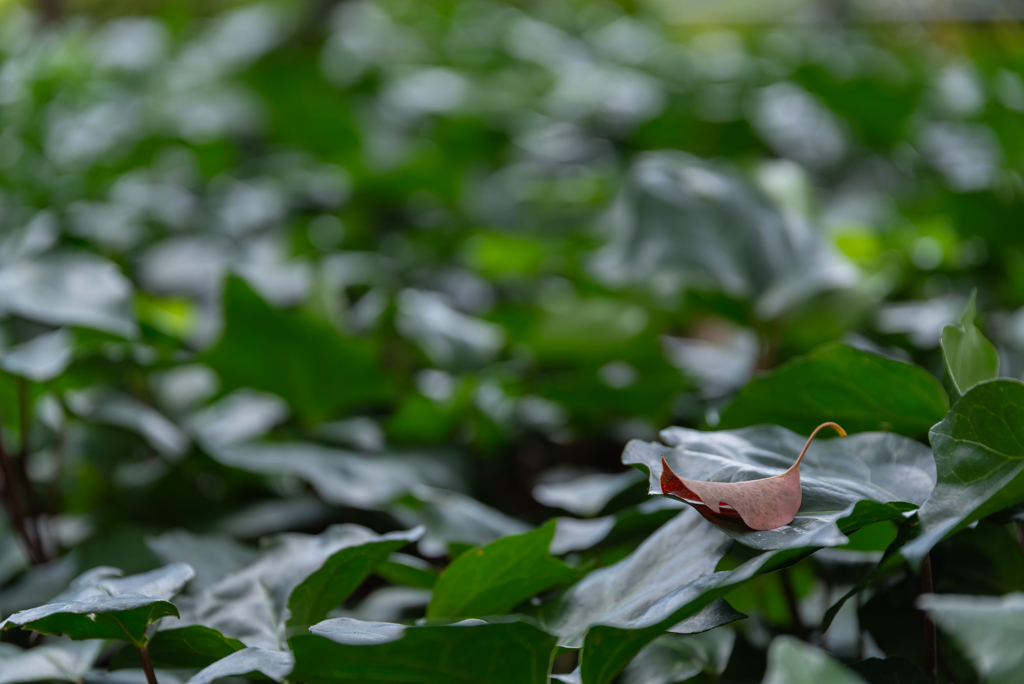 名称未設定-2968