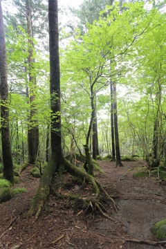 井戸湿原2