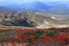 赤と緑の世界