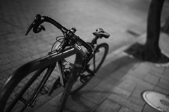 夕食に至る小径