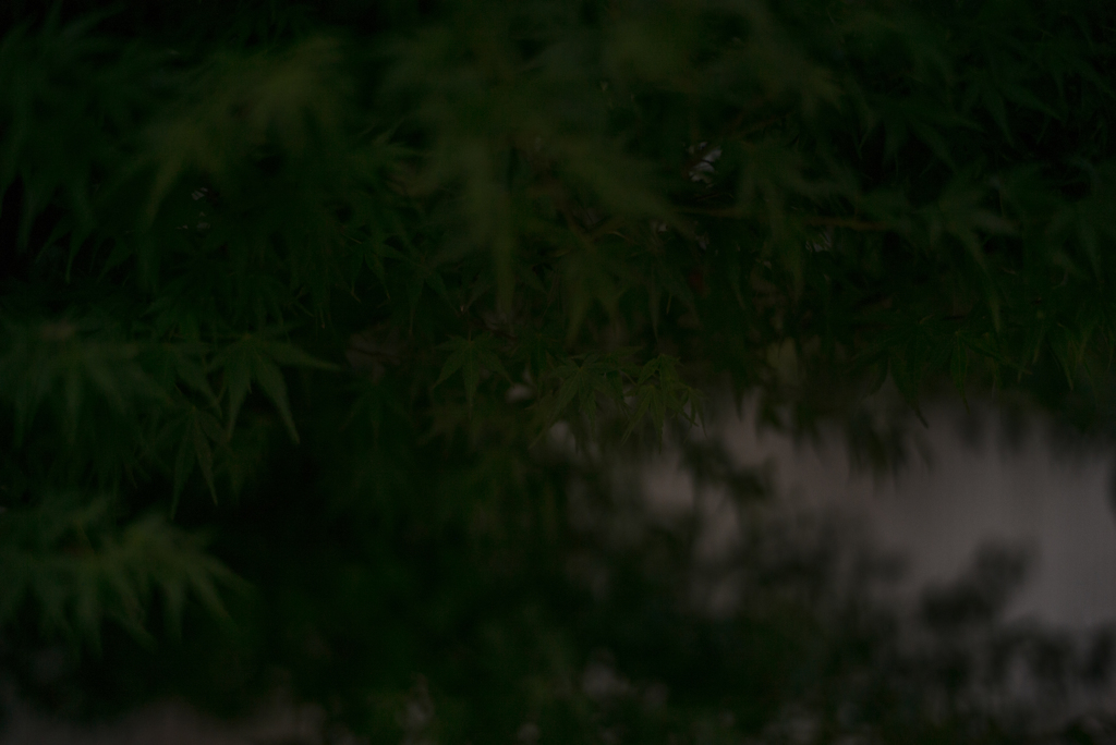 雨情