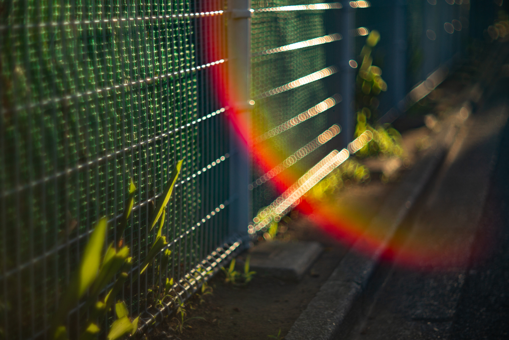 SUMMAREX-RAINBOW