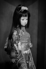日本少女 14