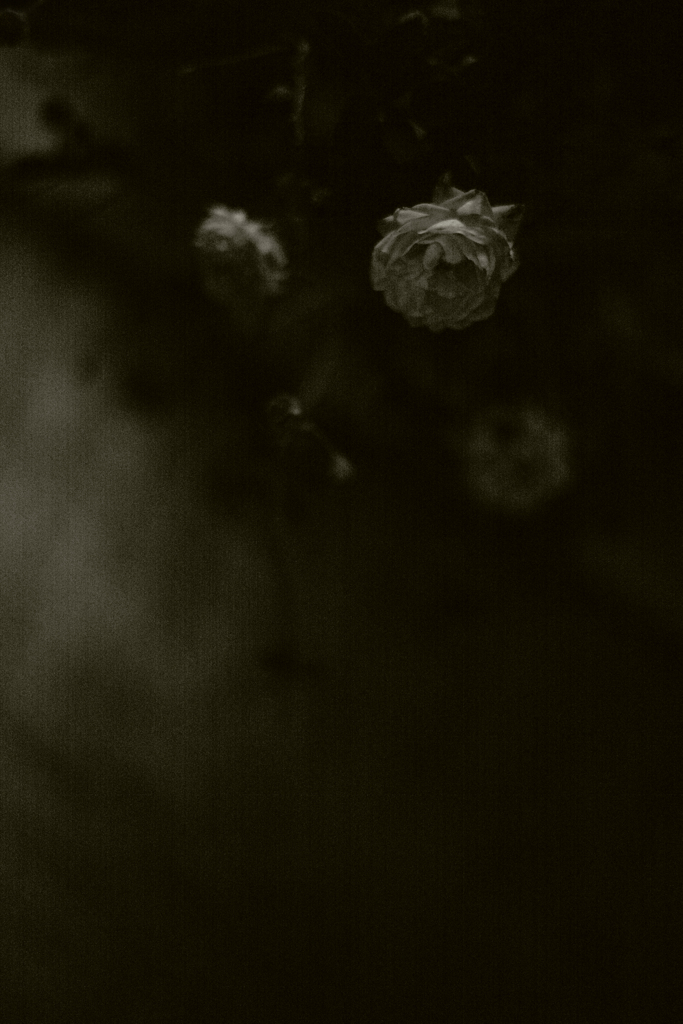 Deathsummilux