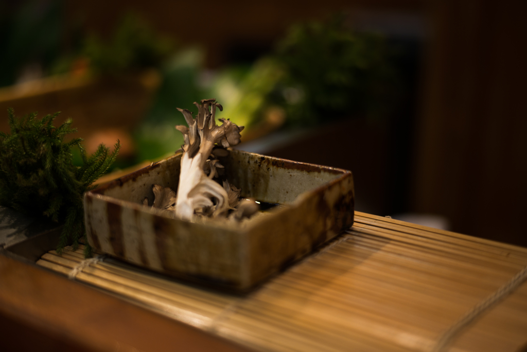 舞茸