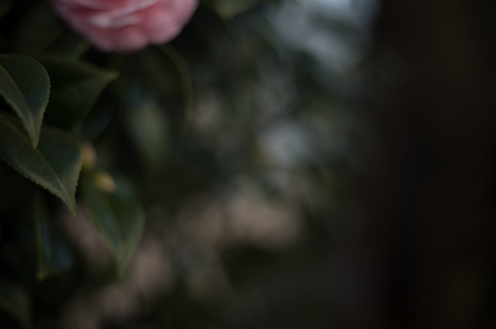 Eternal Light