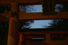 千本鳥居を抜けて