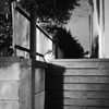 100000CAT