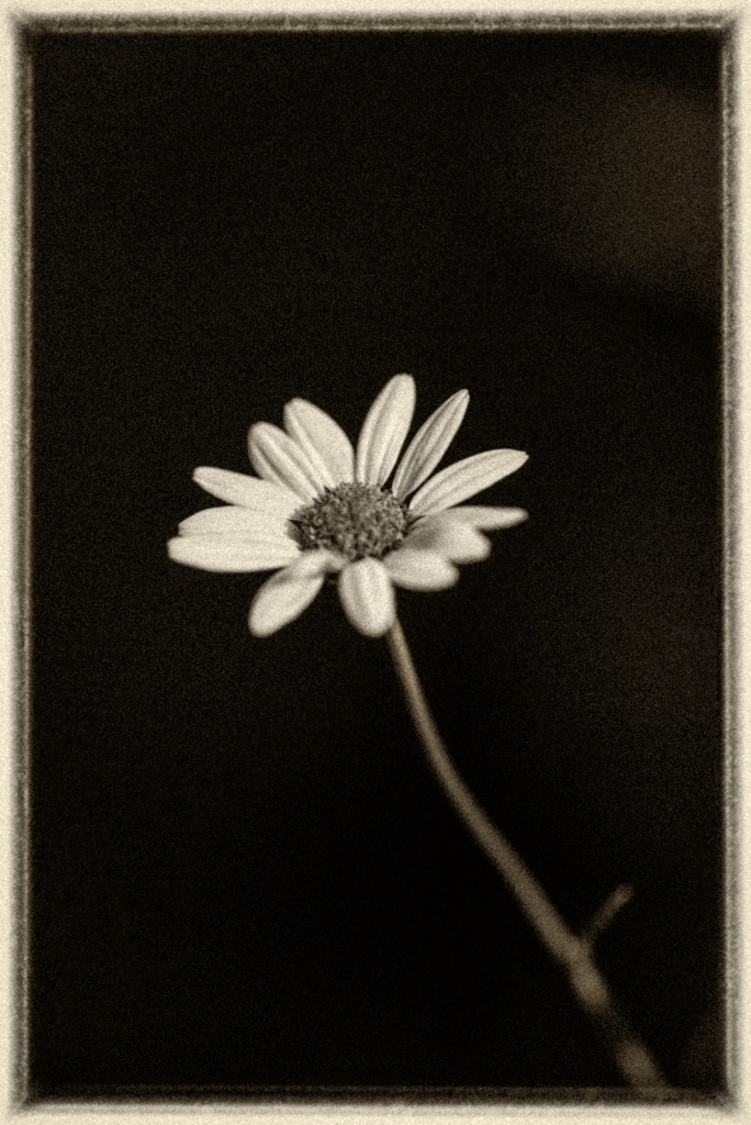 For you
