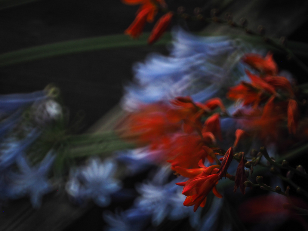 DISORDER Ⅱ