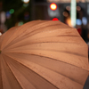 SUMMILUX RAIN