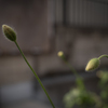 Spring has come^^