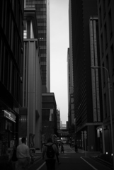 Level 4
